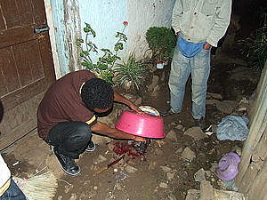 afrika0222.jpg