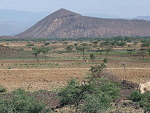 afrika0411.jpg