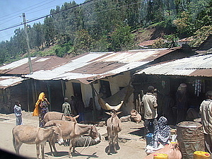 afrika0456.jpg