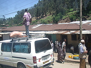 afrika0457.jpg
