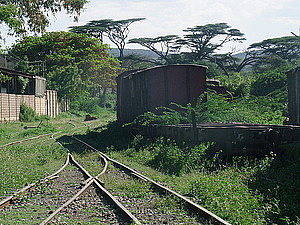 afrika0501.jpg