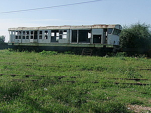 afrika0509.jpg