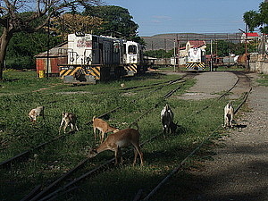 afrika0548.jpg