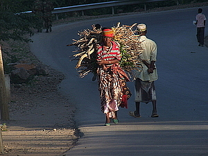 afrika0611.jpg