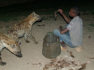 afrika0659.jpg