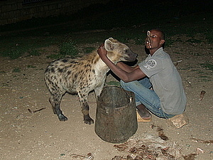 afrika0660.jpg