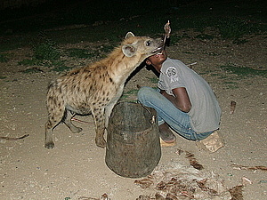 afrika0662.jpg