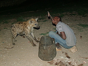 afrika0663.jpg