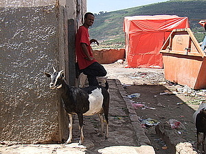 afrika0735.jpg