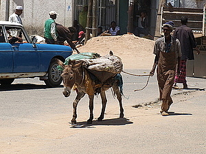 afrika0826.jpg