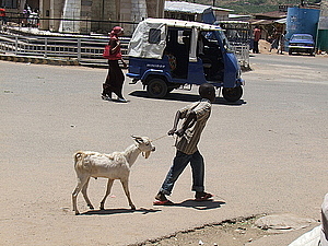 afrika0877.jpg