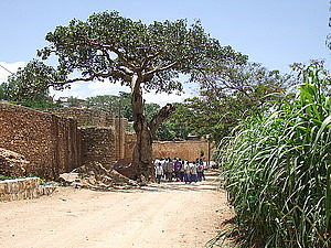 afrika0949.jpg