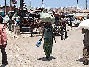 afrika0966.jpg