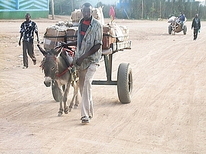 afrika1022a.jpg