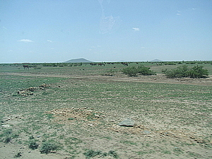 afrika1069.jpg