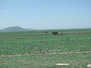 afrika1073.jpg