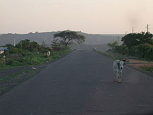 afrika1180.jpg