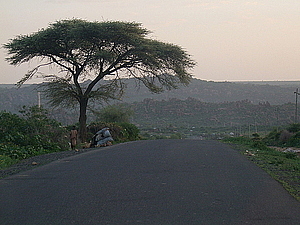 afrika1182.jpg