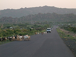 afrika1183.jpg