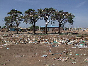 afrika1275.jpg