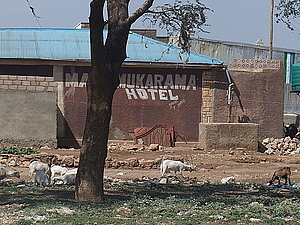 afrika1279.jpg