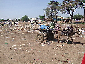 afrika1295.jpg