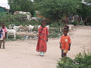 afrika2129.jpg