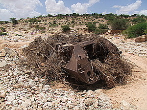 afrika1458.jpg