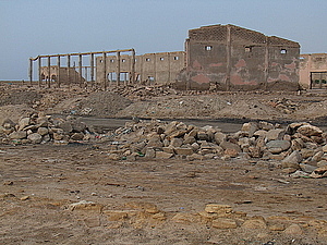afrika1991.jpg