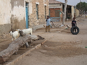 afrika2017.jpg