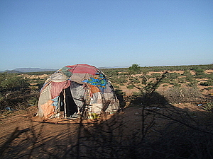 afrika2182.jpg