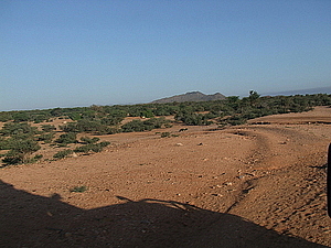 afrika2183.jpg