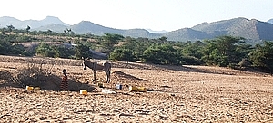 afrika2185a.jpg