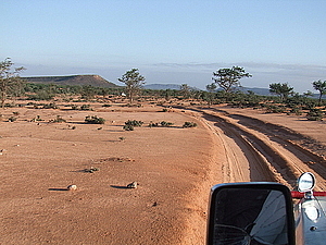 afrika2190.jpg