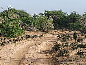 afrika2206.jpg