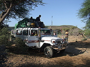 afrika2218.jpg