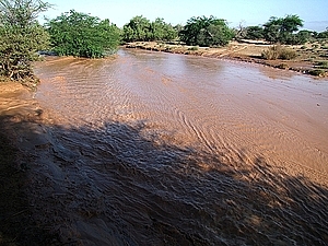 afrika2219a.jpg