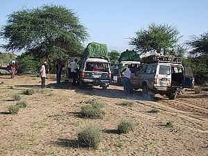 afrika2220.jpg