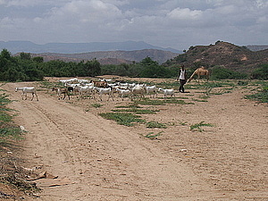 afrika2234.jpg