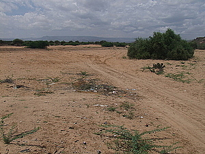 afrika2244.jpg
