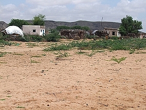 afrika2246a.jpg