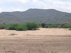 afrika2249.jpg