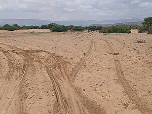 afrika2254.jpg