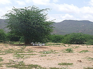 afrika2258.jpg
