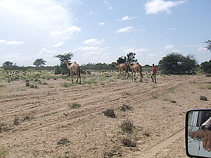 afrika2282.jpg