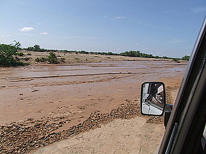 afrika2296.jpg