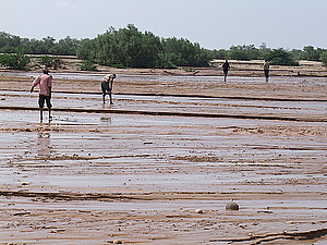 afrika2307.jpg