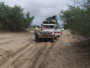 afrika2327.jpg
