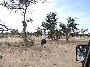 afrika2331.jpg