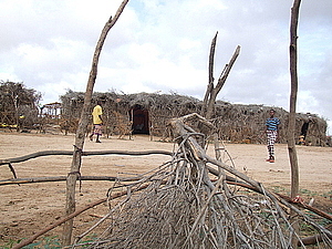 afrika2334.jpg